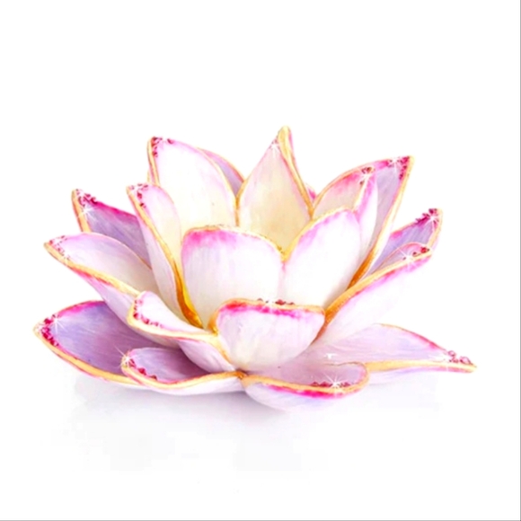 Jay - Picture 3 of 7